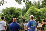 Mango Tree Pruning Workshop - August 5th @ 10am