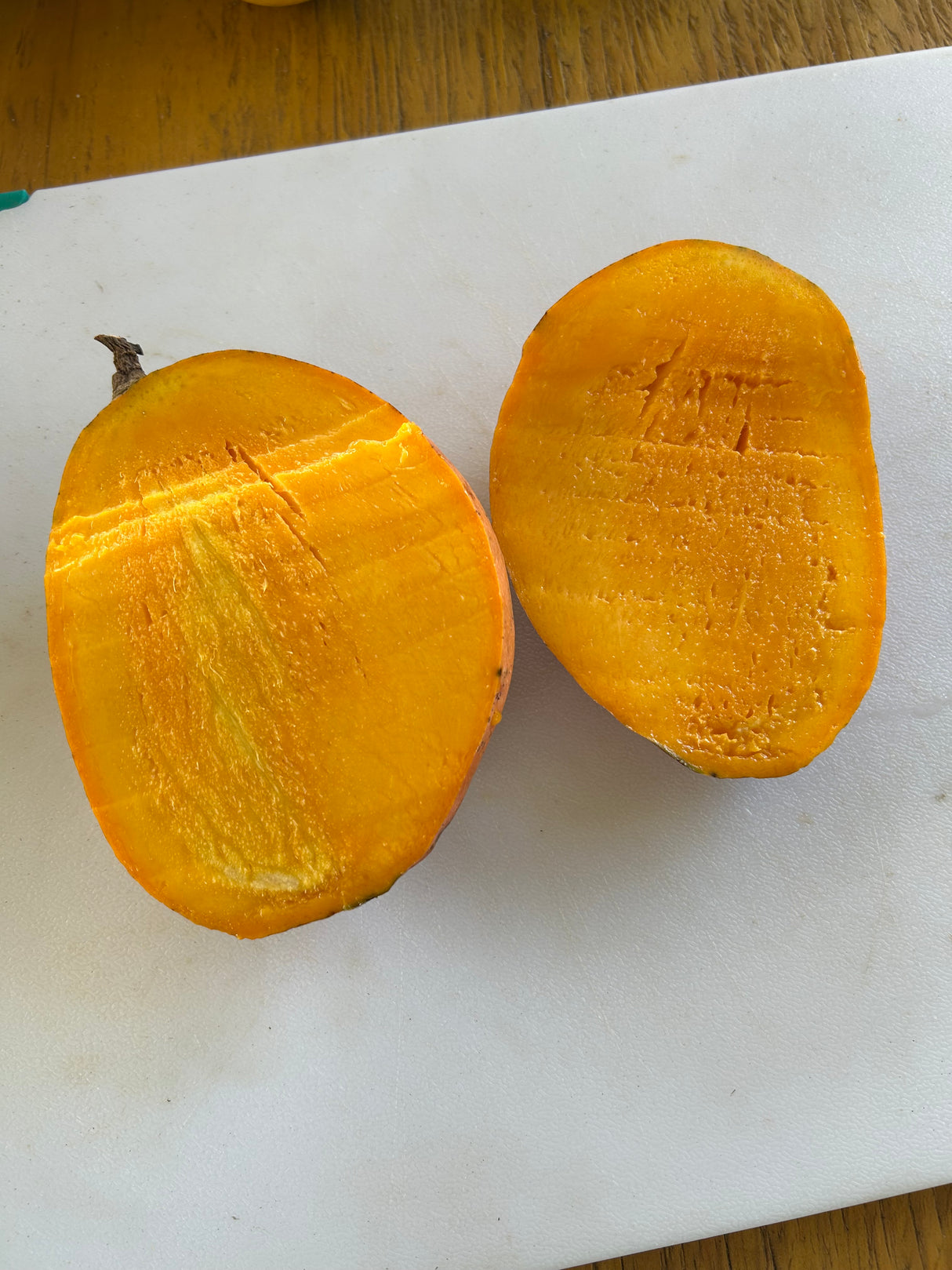 Mango Tree ‘Super Julie’