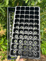 50 cell seed tray + bottom tray