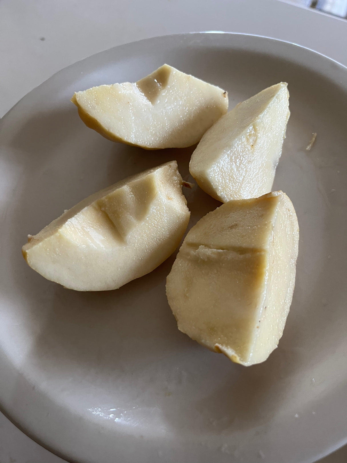 Guava Tree 'Indonesian White Seedless'