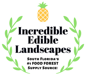 Incredible Edible Landscapes 