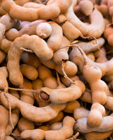 Tamarind ‘Thai Sweet’