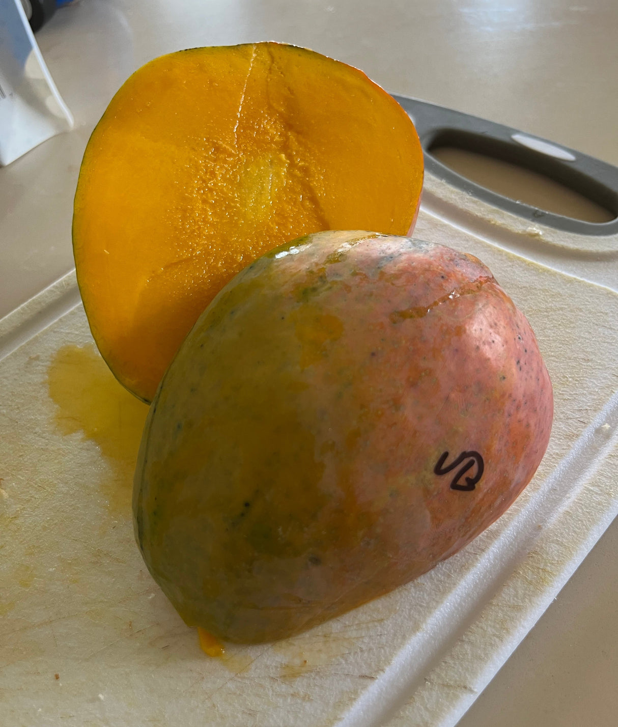 Mango Tree ‘Ugly Betty’