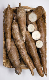 Cassava Plant ‘Togo’