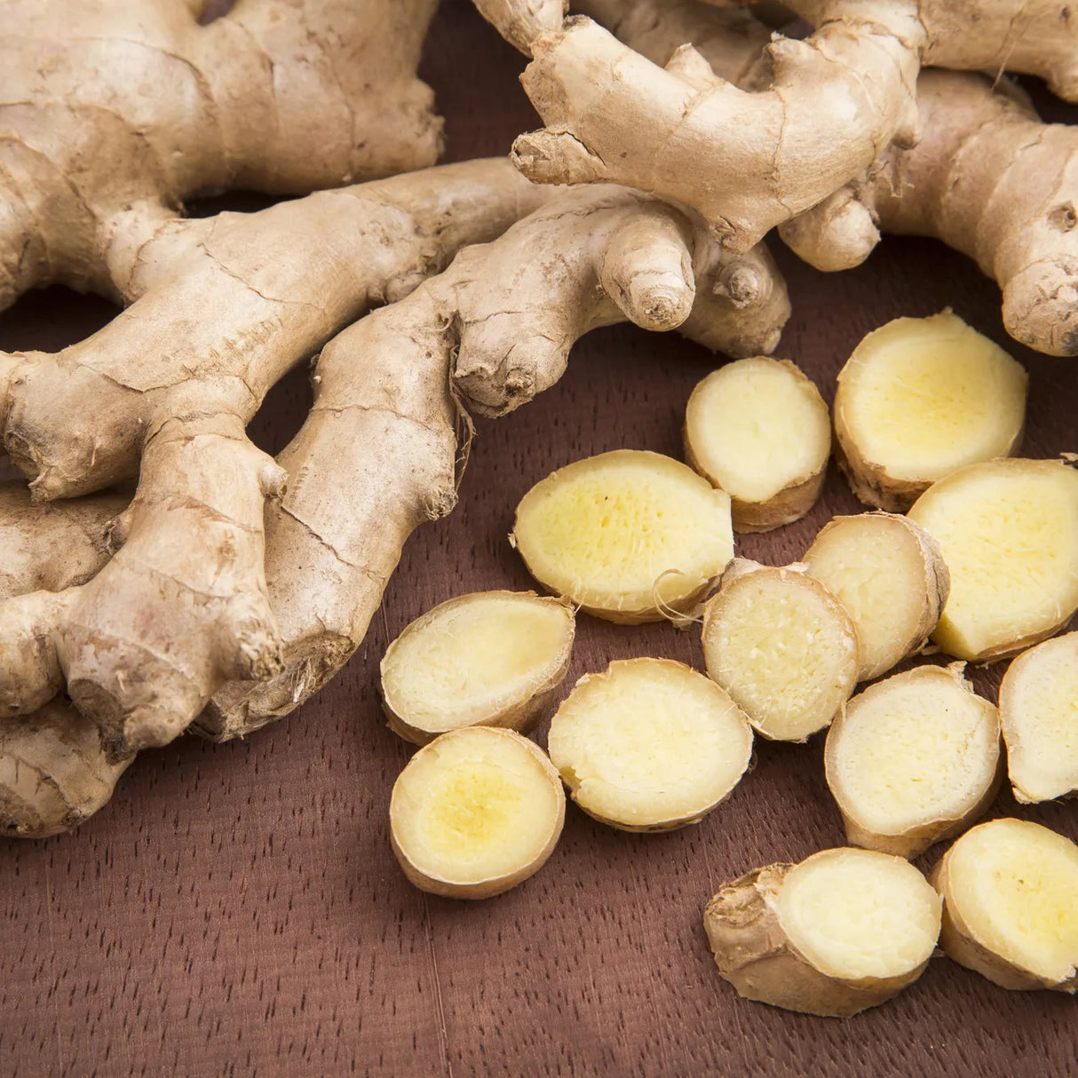 Ginger Plant