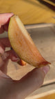Sapodilla Tree 'Alano'